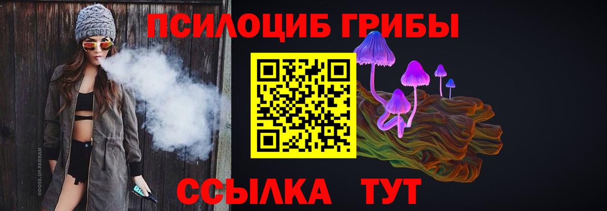 Псилоцибиновые грибы Cubensis  Псилоцибиновые грибы прущие грибы  Вход с VPN  купить   Буйнакск 